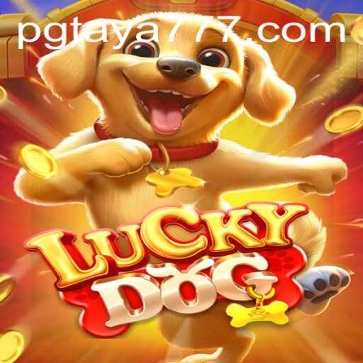 LuckyDog: Unleashing Excitement with Taya777